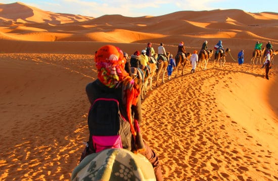 Kamelridning i ørkenen
